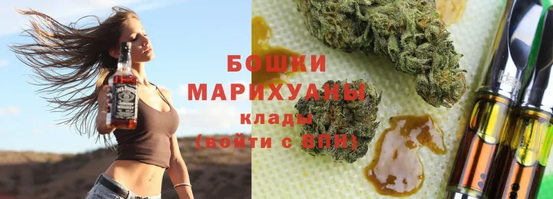 сколько стоит  Кострома  Бошки марихуана SATIVA & INDICA 